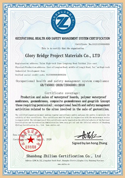 Preview of Glory Bridge ISO 45001 certificate